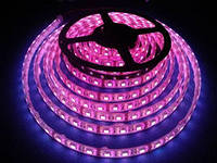 Лента 5050 60 led